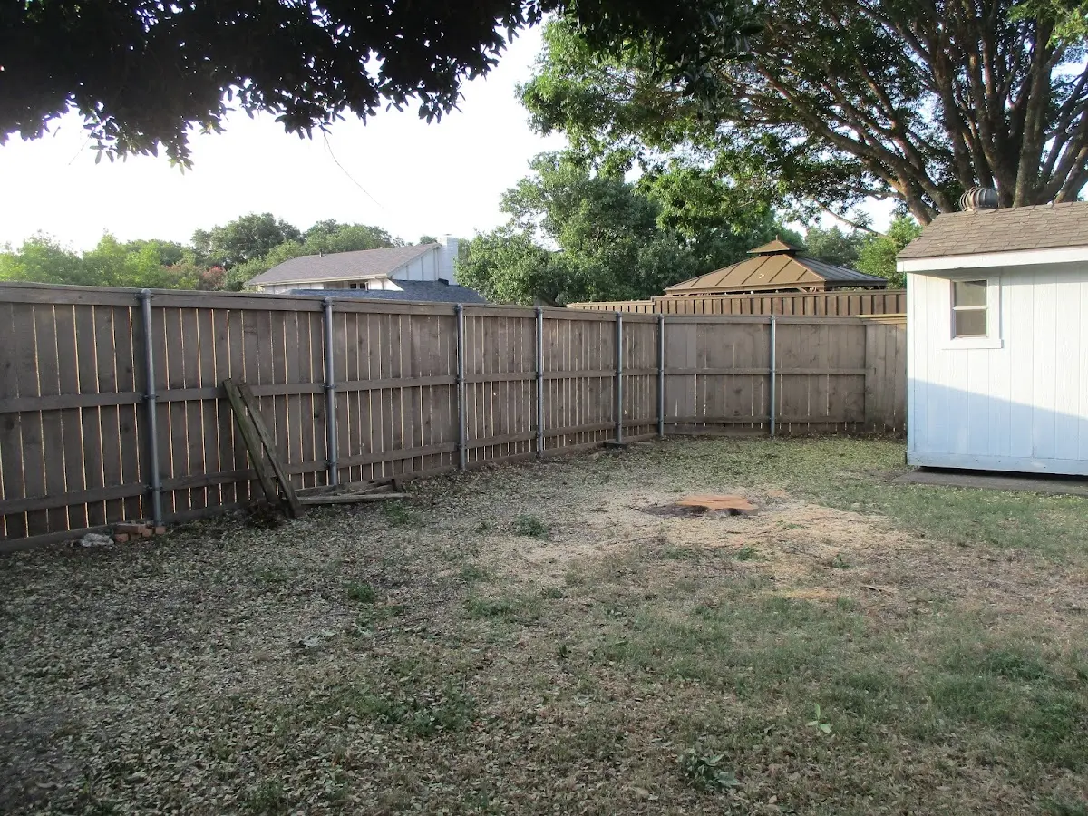 Cleared yard after professional tree removal in Fountain City